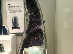 -天津自然博物馆