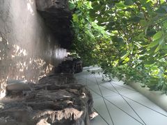 iphone_upload_pic-西安世博园