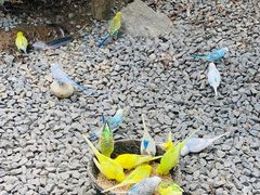 -维乐口腔医院(福清院)