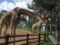 -大连森林动物园