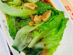 -小杨生煎(东方明珠店)