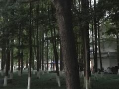 -温江公园