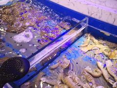 水产区-澜悦港海鲜体验主题餐厅