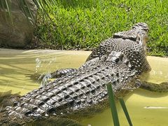 -费瑟代尔野生动物园