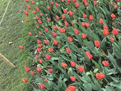 -长春公园(普阳街道)