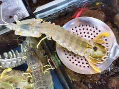 泰国濑尿虾-粤盛海鲜平价店(洛溪食街店)
