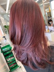-潘多拉Hairsalon