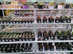 -KKV(天津津南吾悦广场店)