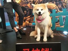 -上海新国际博览中心-贵宾停车场