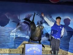 -顺德南宏海立方海洋公园