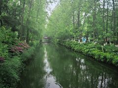-合肥滨湖国家森林公园