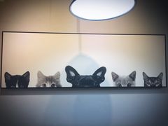 -吃饼人西餐(南开店)