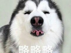 -赛拉维(咸阳财富中心店)