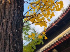 -西园戒幢律寺