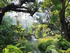 -Chom Cafe and Restaurant