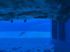 -横琴湾水世界