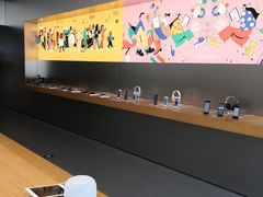 -Apple零售店(中街大悦城店)