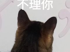 -瑞派·关忠动物医院(国瑞店)