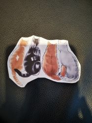 点击看大图 -飛凡TATTOO纹身•原创