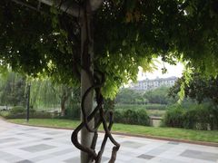 iphone_upload_pic-运河游船(武林门码头)