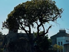 -赤坎·广东华侨国际旅游度假区