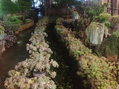 -山菌美食苑(振兴路店)