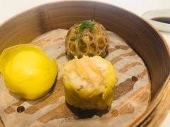 -伯衡55·吉品轩(乌鲁木齐南路店)