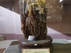 -粤晖园