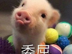 -四宜糕团店(南大街店)