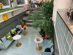 -有猫主题·治愈系猫咖(曾厝垵店)