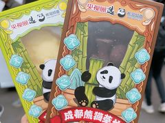 -成都大熊猫繁育研究基地