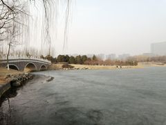 -大兴滨河森林公园