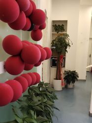 点击看大图 -SOR索尔祛痘·面部肌肤科学管理