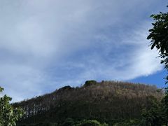 -阳台山森林公园