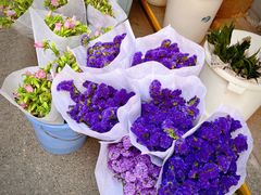 -循礼门鲜花花市(武汉循礼门店)