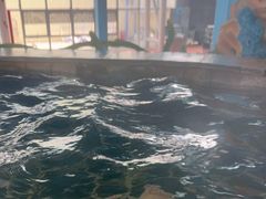 -四季贵州·山地温泉水世界