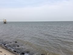 -东堤公园