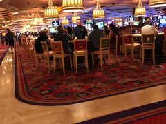 -拉斯维加斯永利酒店