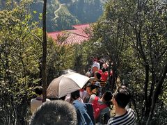 -梦幻奥陶纪景区