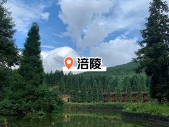-武陵山森林公园