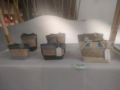 -西双版纳原始森林公园