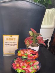 -深圳阳光医疗美容医院·旗舰店