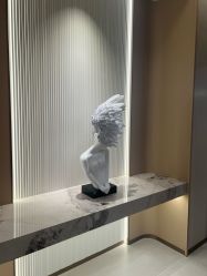 -佛山曙光金子医学美容医院