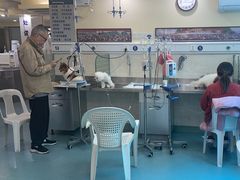 -动物缘宠物医院·骨科·猫科(西二环店)