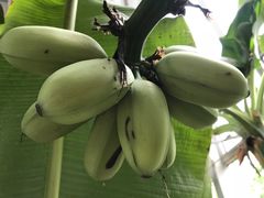 -中家鑫园温泉酒店鑫悦汤泉