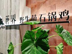 -蘑界·野生菌火锅(深业上城店)