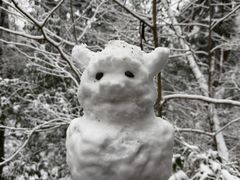 -天目山大树王景区