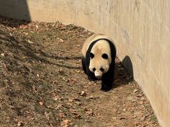 -石家庄市动物园