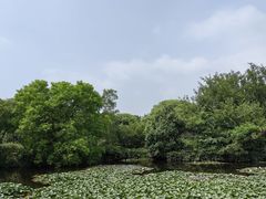 -白马涧龙池景区