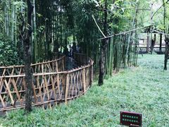 -成都杜甫草堂博物馆